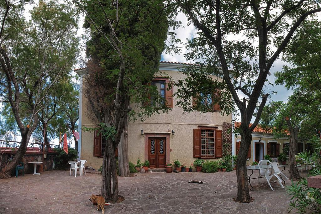 Lela Kaptani Eftalou Olive Grove Mithimna Dış mekan fotoğraf