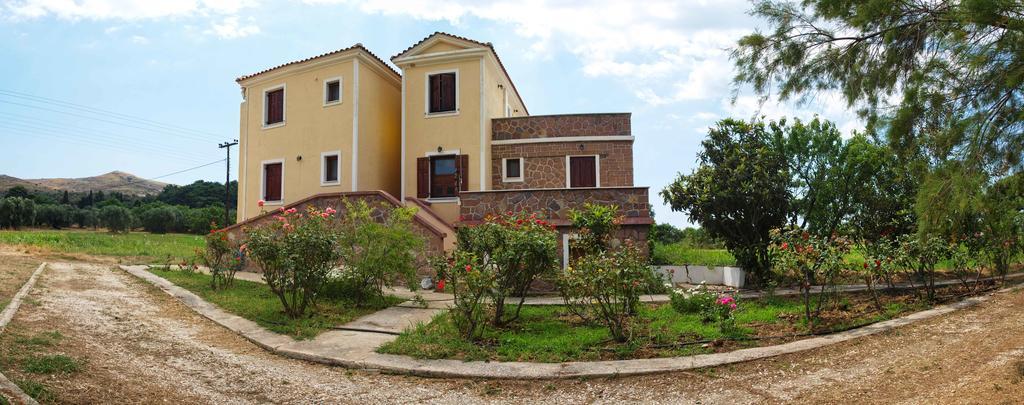 Lela Kaptani Eftalou Olive Grove Mithimna Dış mekan fotoğraf